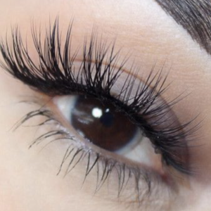 strip lash and cluster course