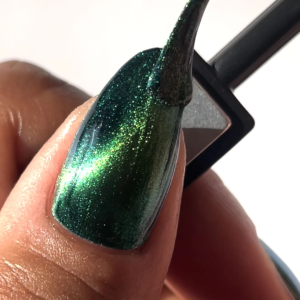 magnetic cat eye gel nail online course